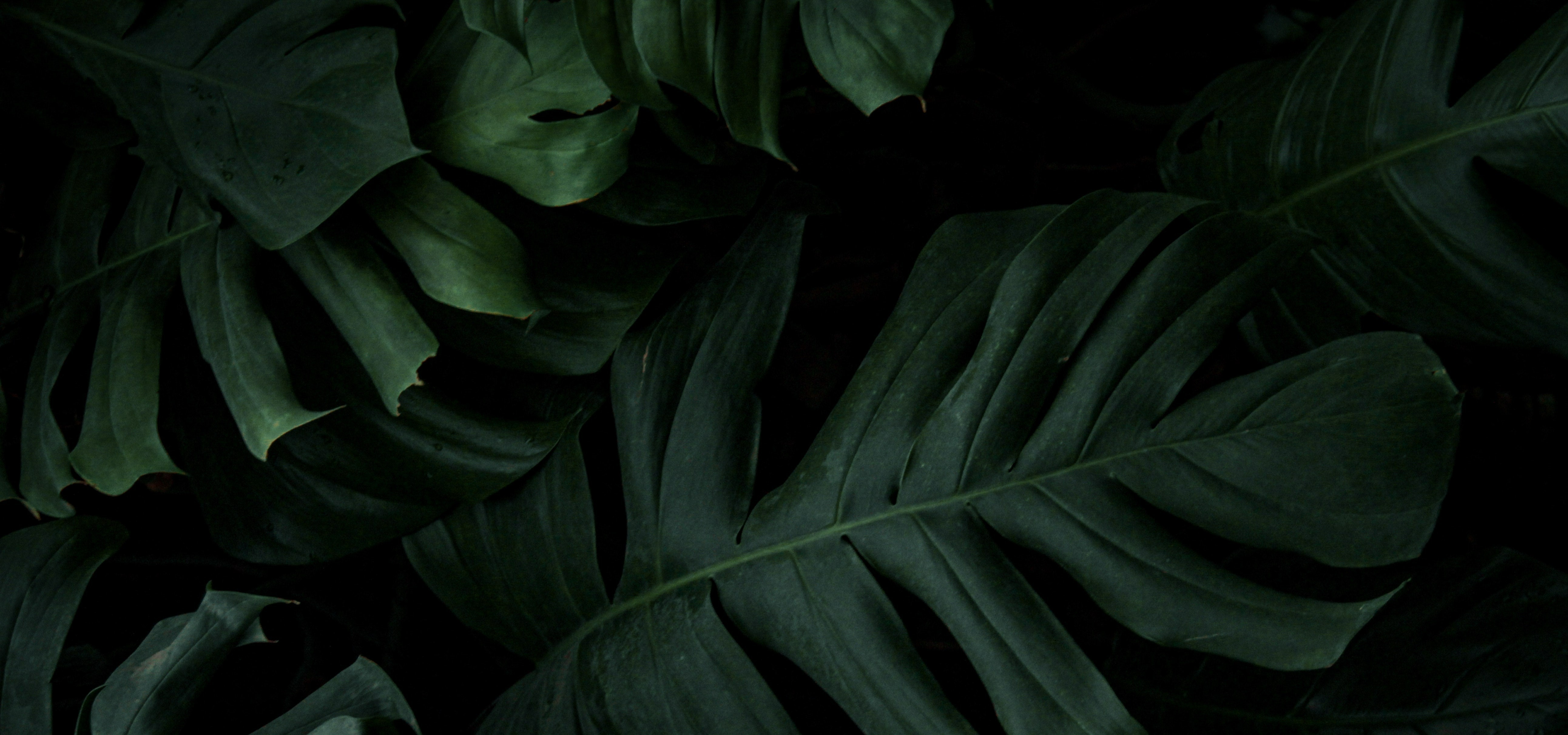 Produkte Header Image